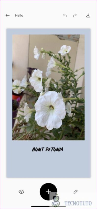 Tecnotuto - iOS