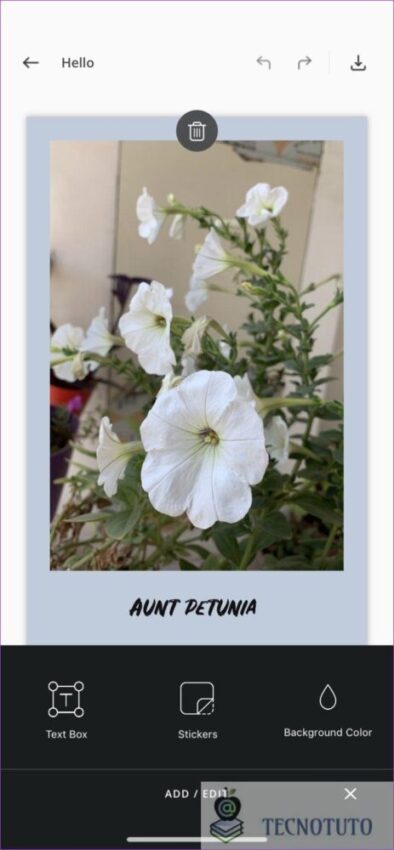Tecnotuto - iOS
