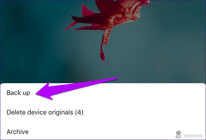 Tecnotuto - iOS