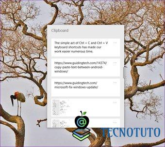 Tecnotuto - Windows